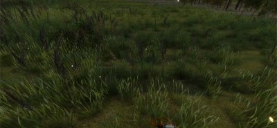 Serious Metal Detecting